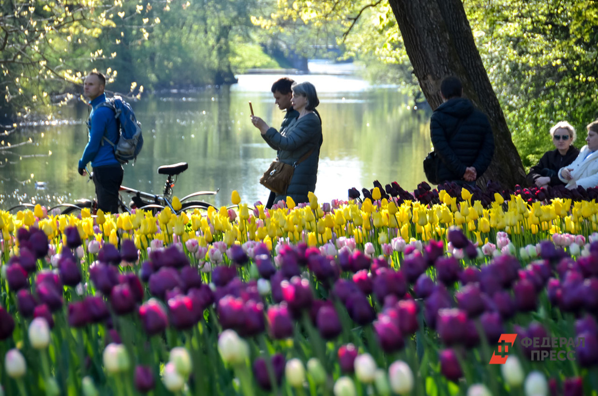 Юрист объяснила как выгодно взять отпуск в мае.  Фото: Фото: ФедералПресс / Татьяна Буторина