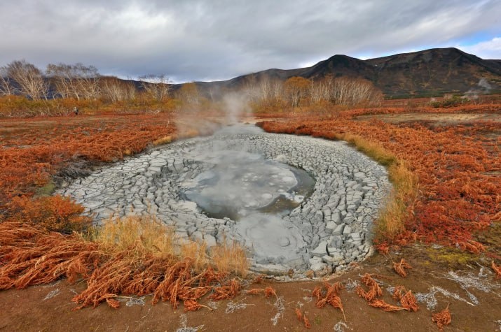 Фото из Яндекса