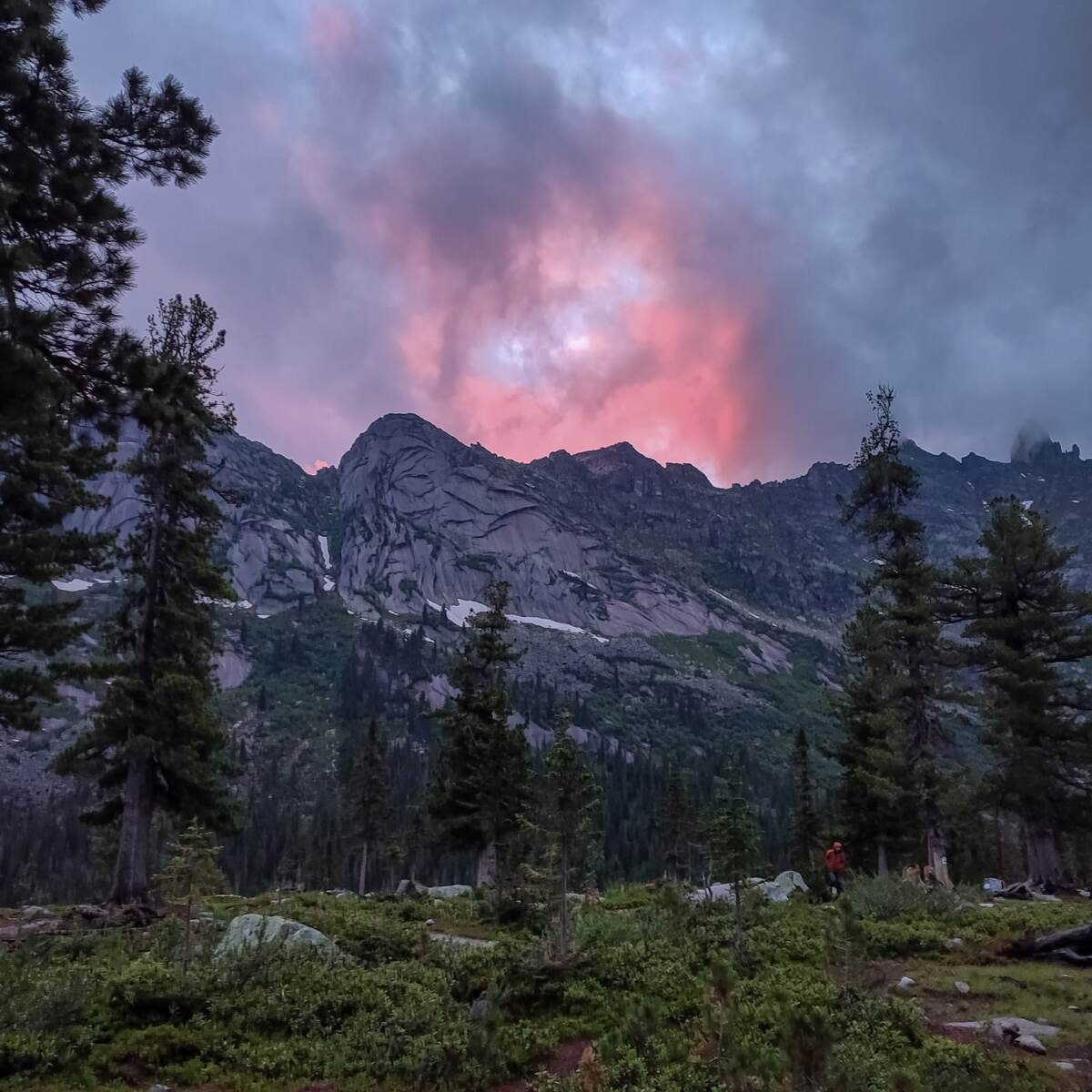 Изображение из личного архива автора, используется в иллюстративных целях.