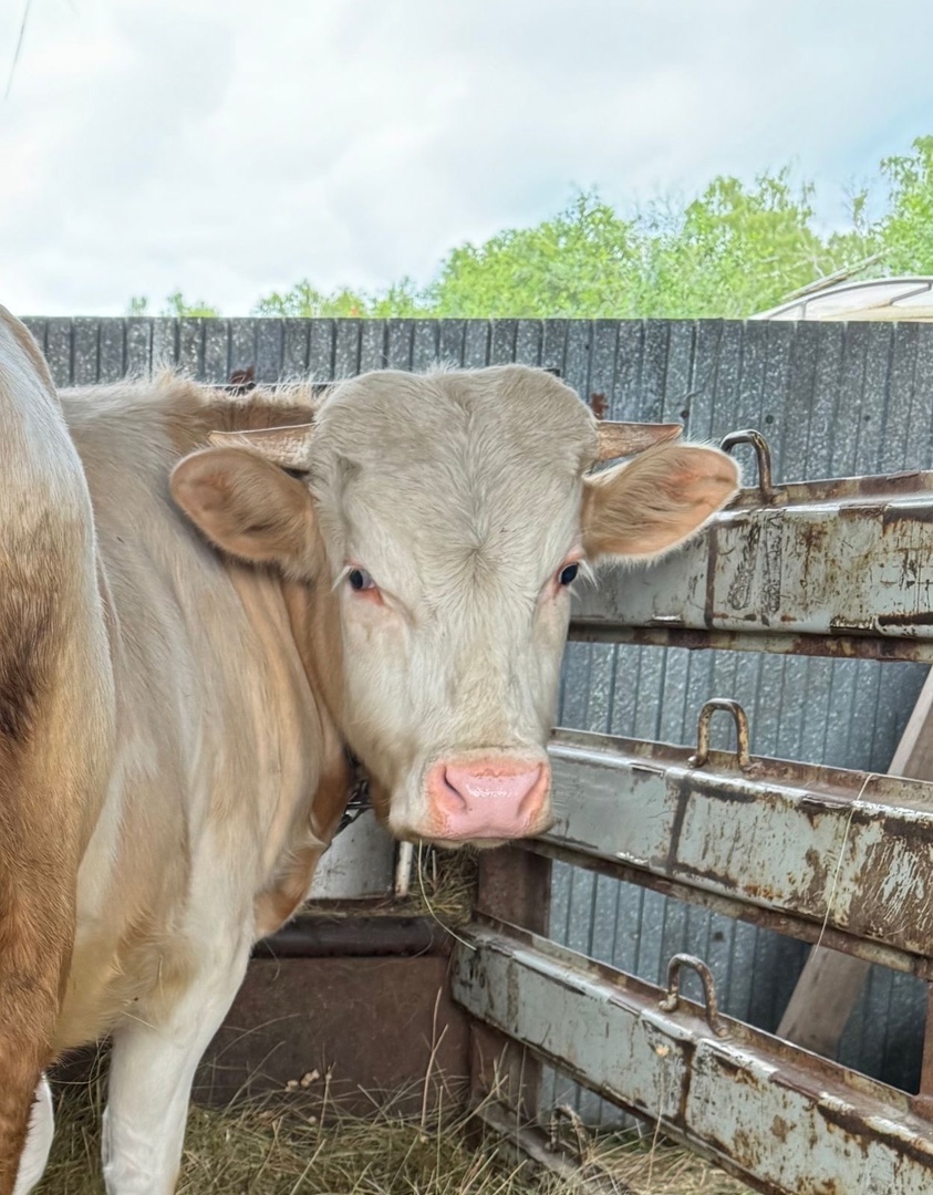    Фото из архива Progorod