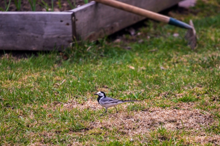    Фото Андрея Заржецкого