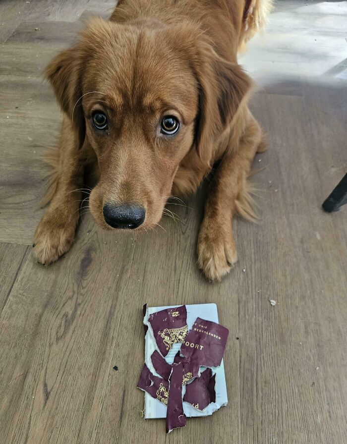 Источник: www.reddit.com/r/Wellthatsucks