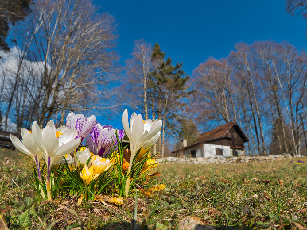 Загородный дом ранней весной