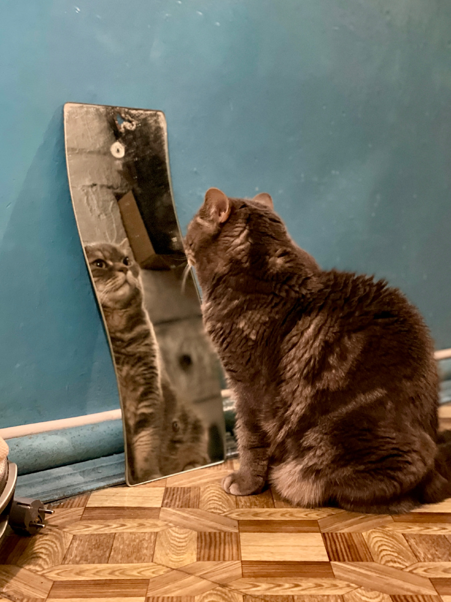 Сидит так долго