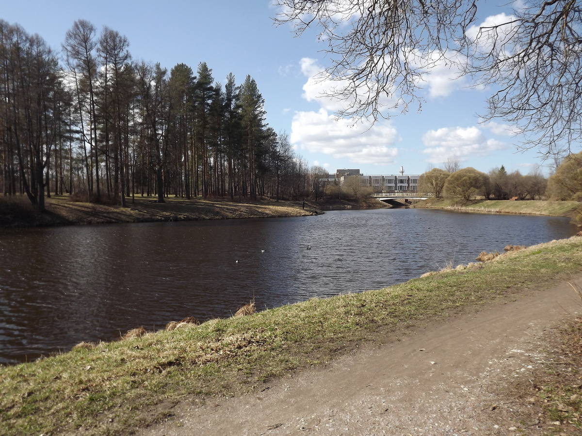 В Баболовском