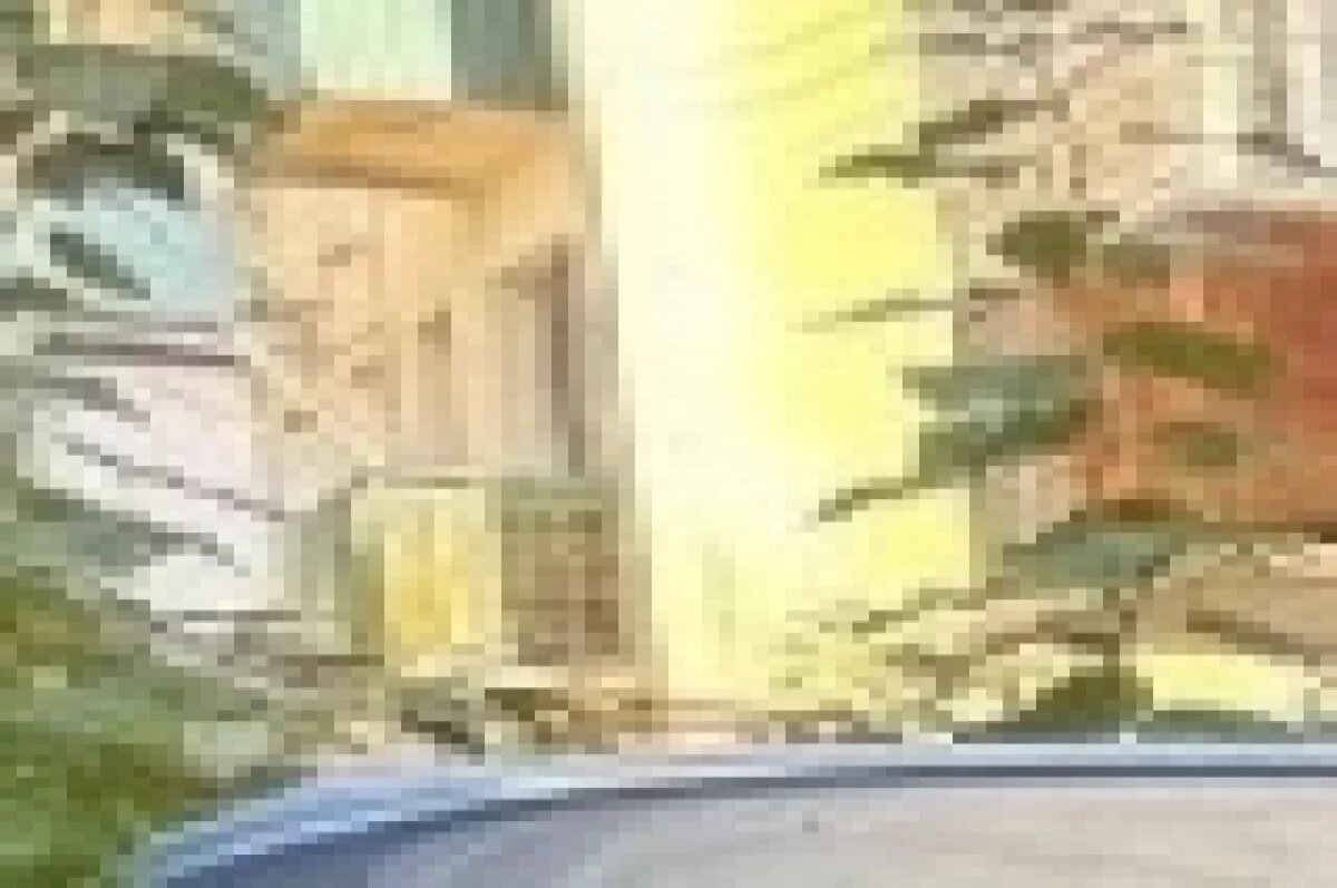    Мужчину отправили в колонию за поджог авто знакомой в Чите