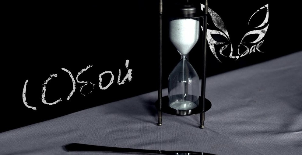 Felidae - (С)бой, 2019