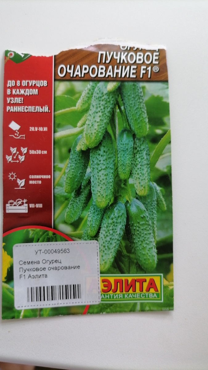 Не устояла, перед такими обещаниями.