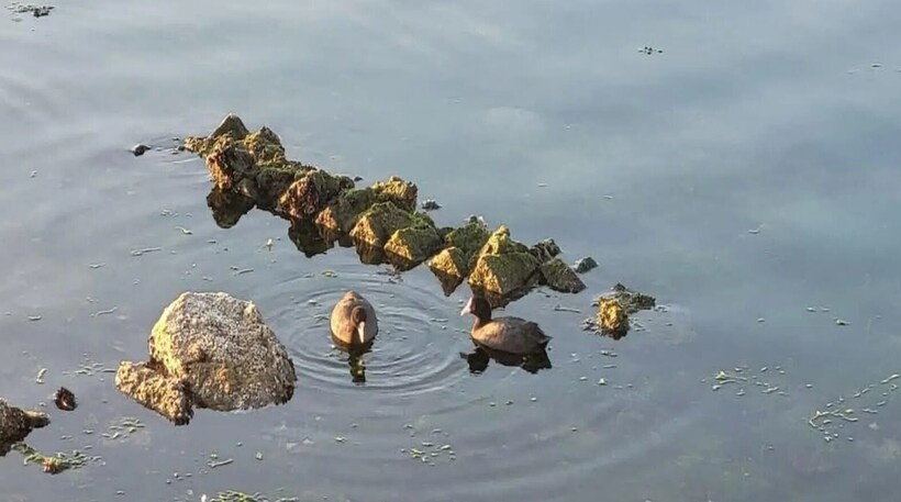    Фото: interestingengineering.com