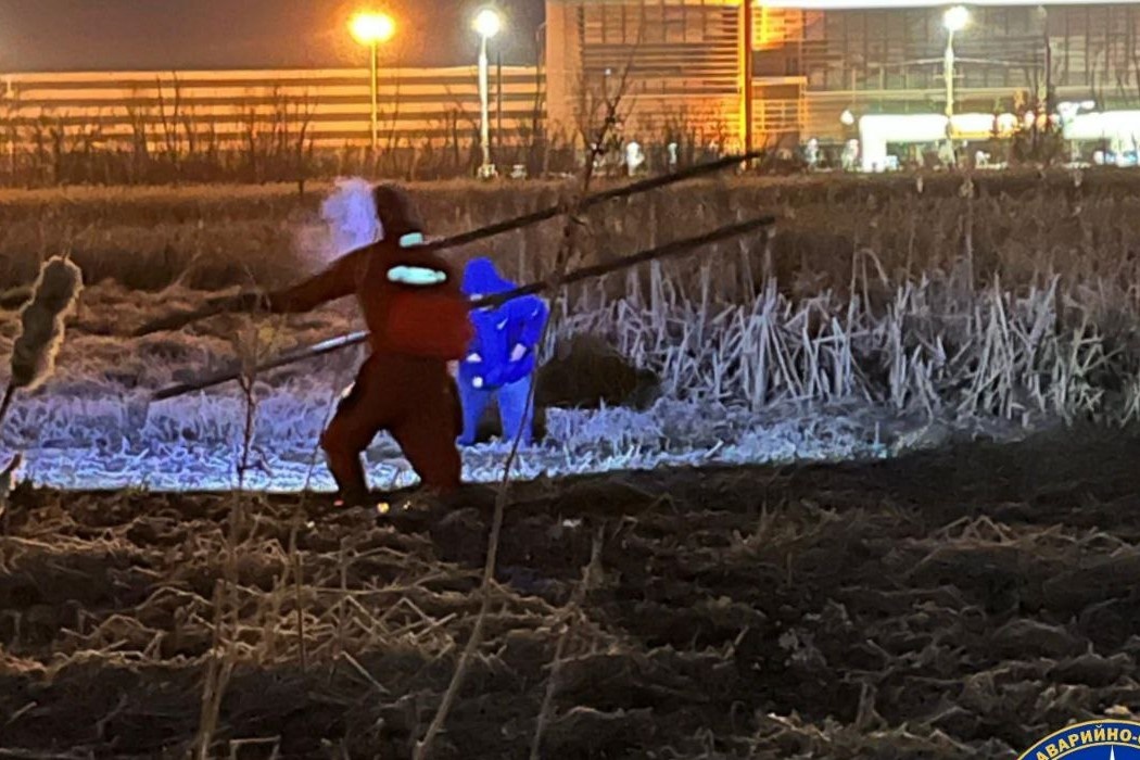    Фото: Спасатели МАСС \ Telegram