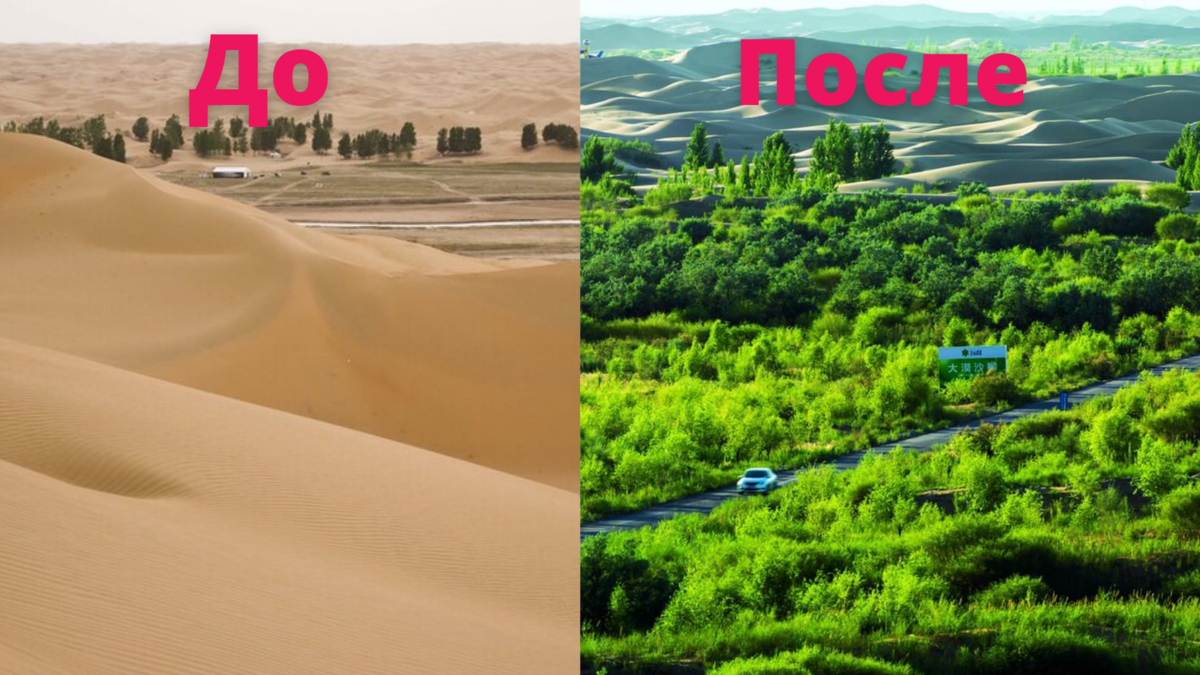 В лесополосы заходили отдохнуть от жары и посмотреть грибов. Сейчас не то что бы нет лесополос, нет полей. Всё заросло лесом, но им тоже никто не занимается.