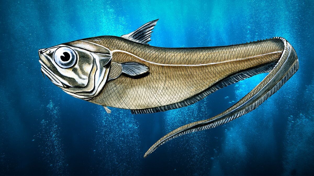    shutterstock.com / Getty Images