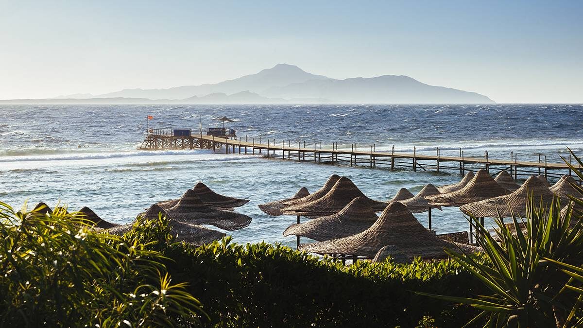    Фото: shutterstock