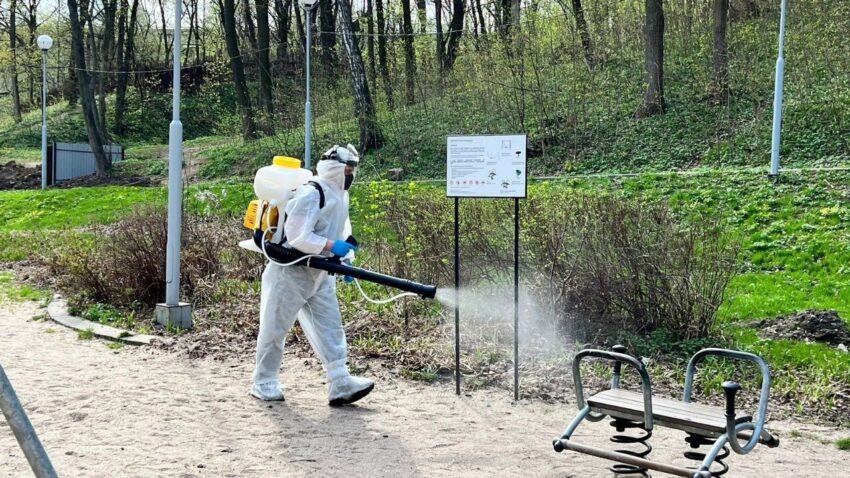    Мэрия Воронежа.