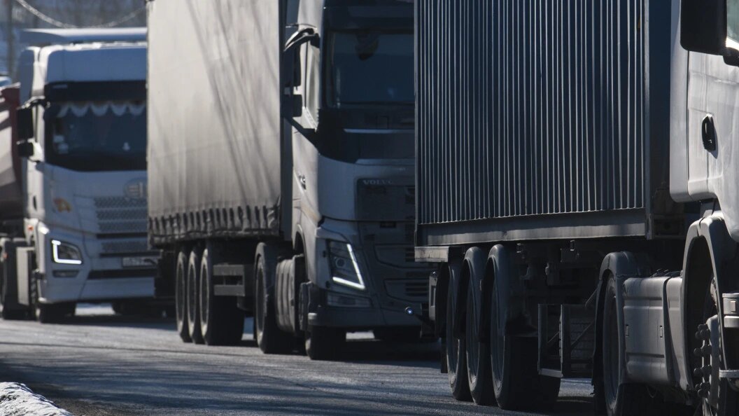    Фото: Ilya Moskovets/Globallookpress