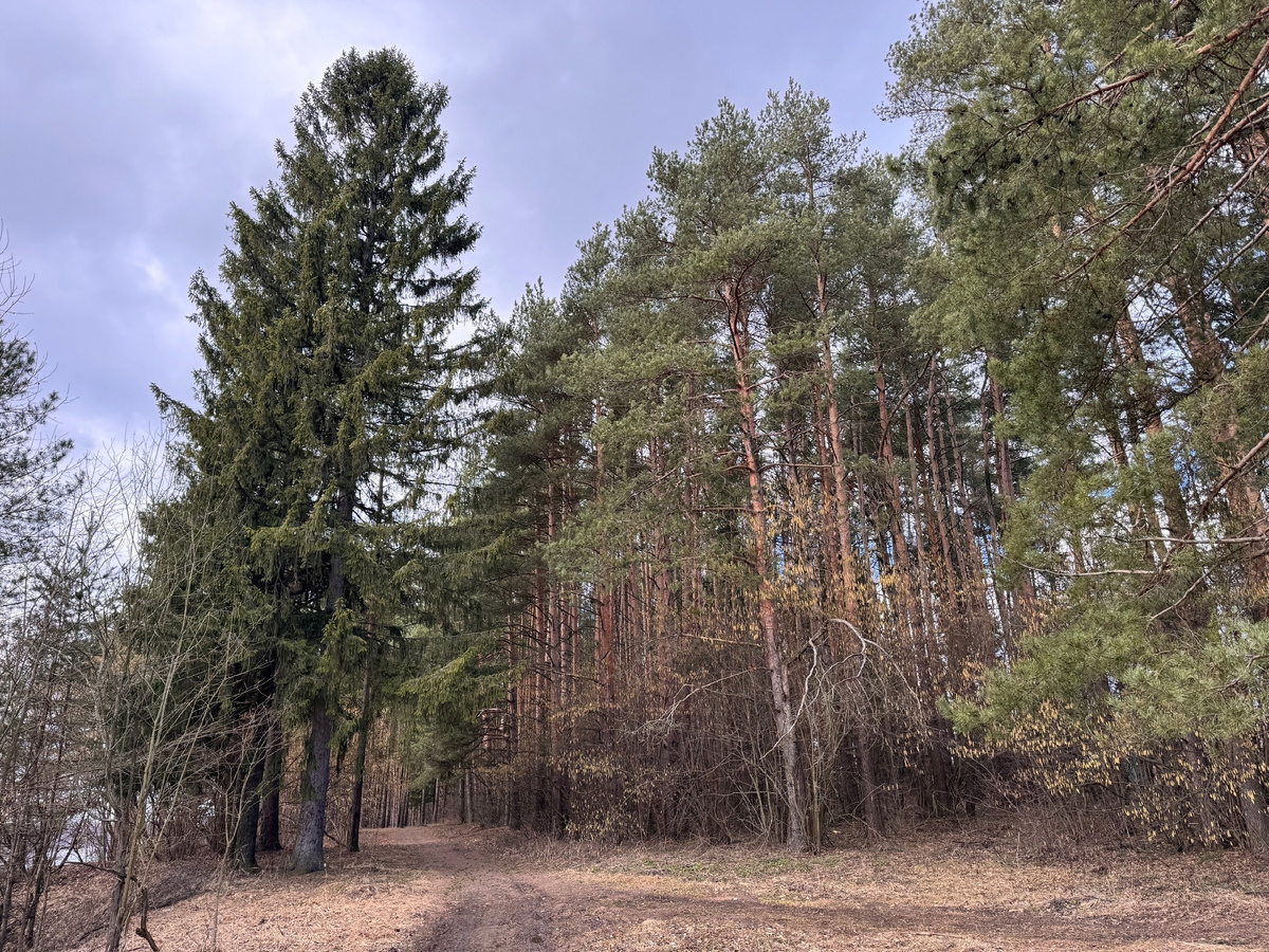 Это на самом берегу.