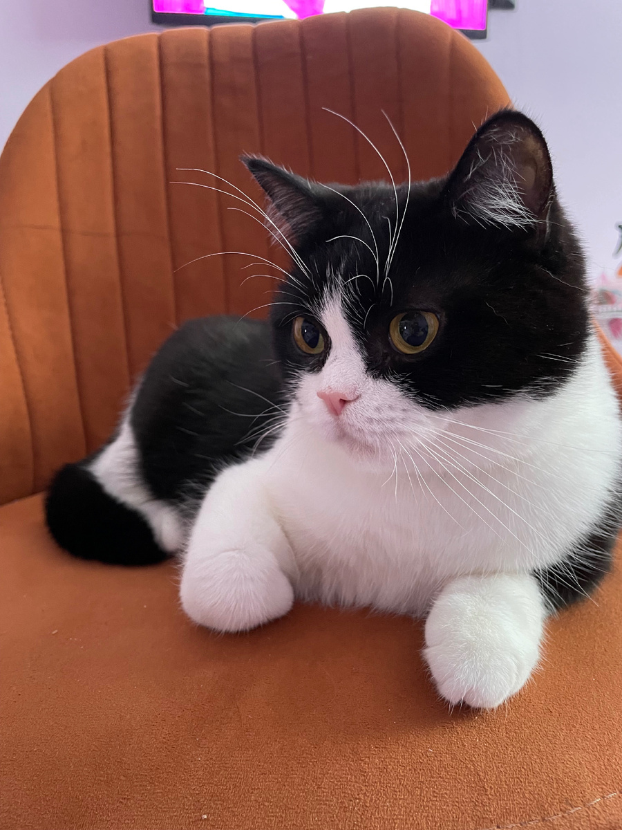 Фото автора