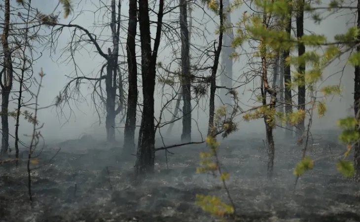 Фото:. Екатерина Смолихина / amic.ru
