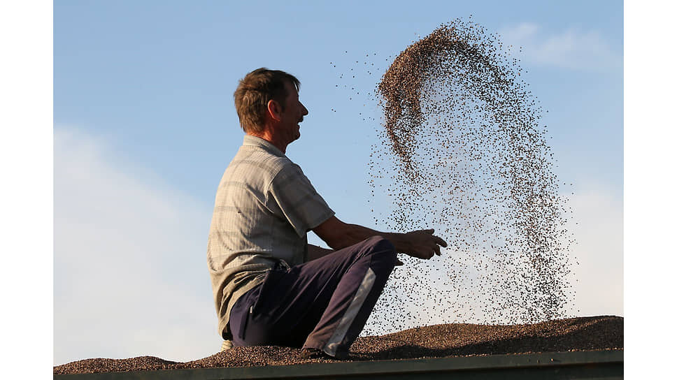 Фото: Андрей Каспришин / Коммерсантъ