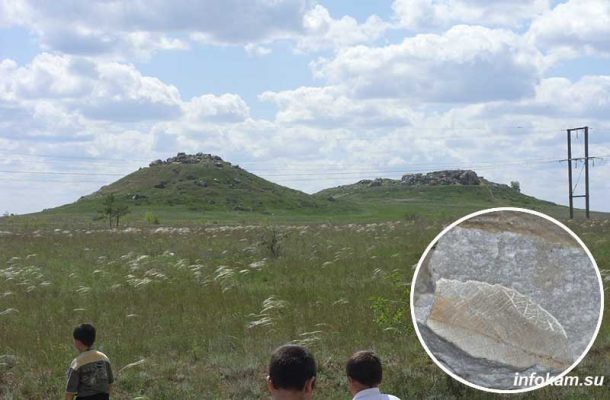    Камышинские горы Уши и отпечаток окаменевшего листа