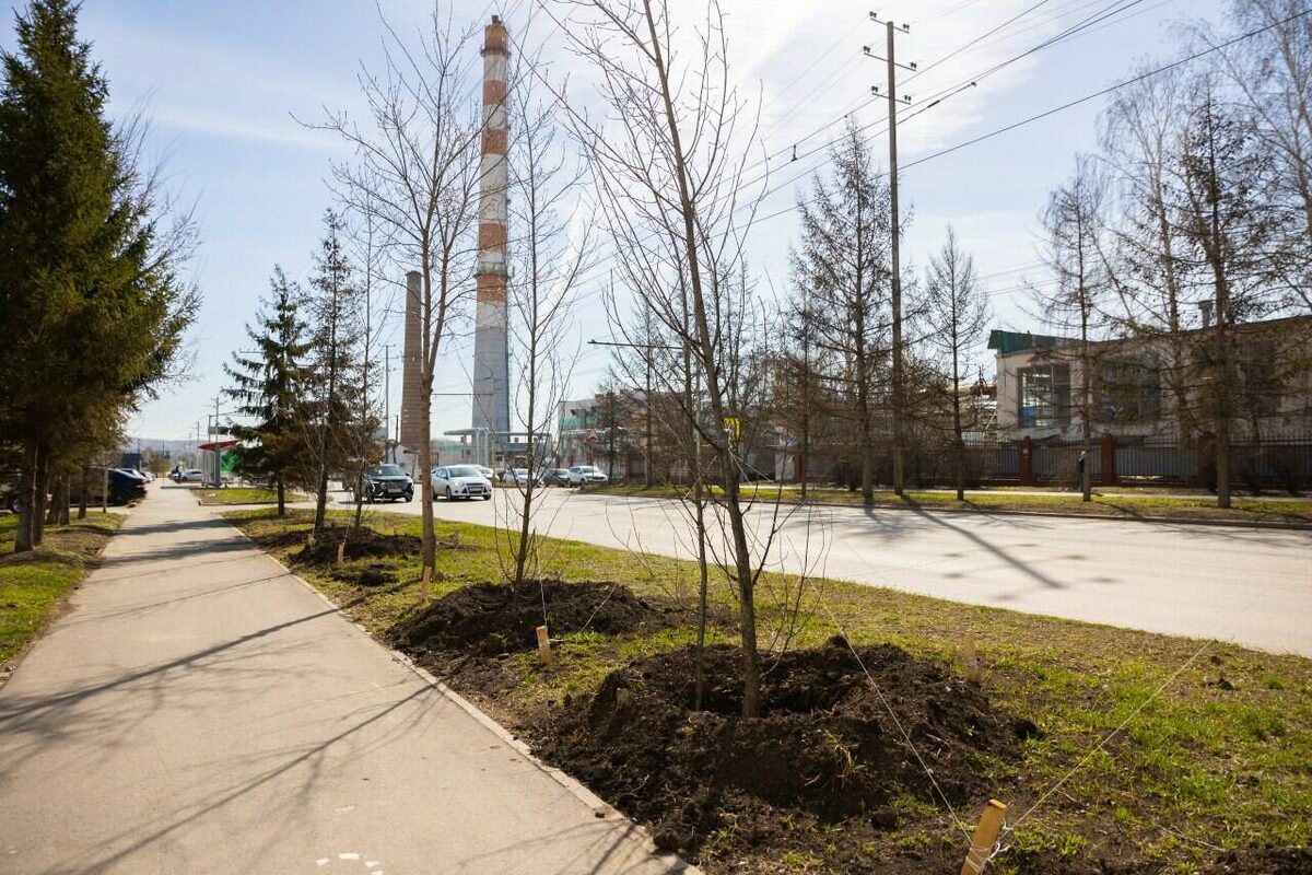 Фото: пресс-служба Альметьевского района РТ