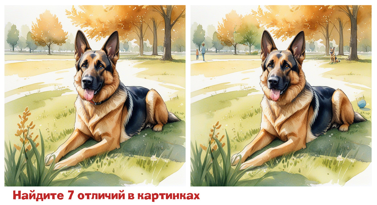 Название породы: Немецкая овчарка