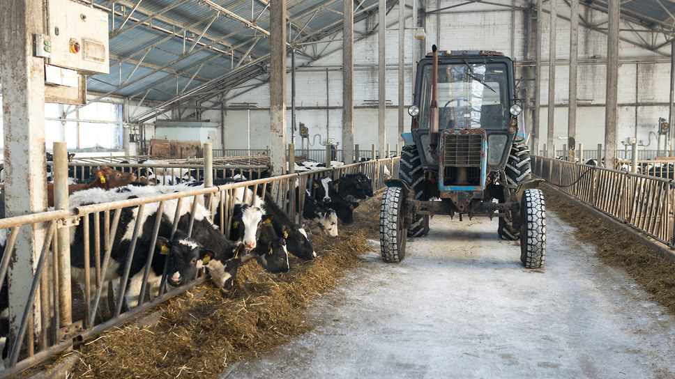 Фото: Олег Харсеев / Коммерсантъ