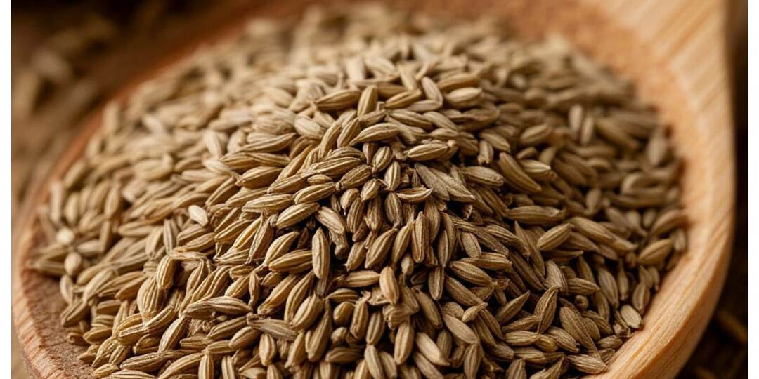 Тмин: маленькое семя с большим потенциалом. В чем его польза и вред?