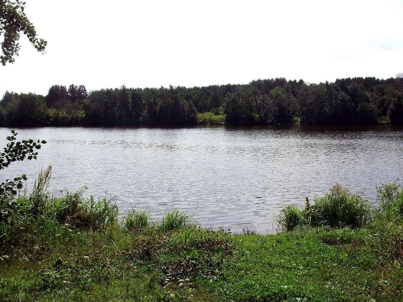 Бобровка, Верхний пруд в г. Артёмовском