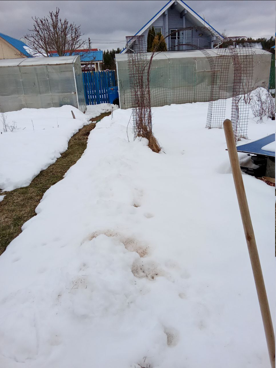 Личное фото