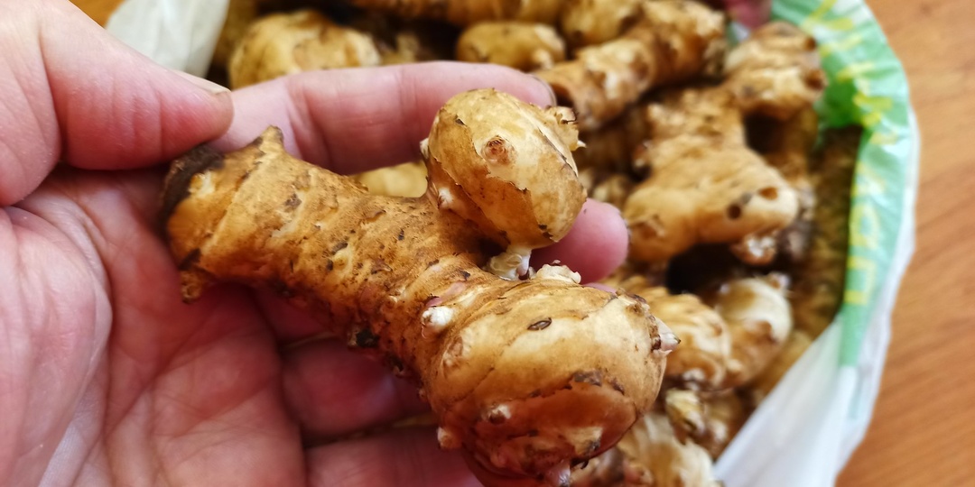 Чудо-клубень, который защитит мозг, кишечник и отрегулирует сахар