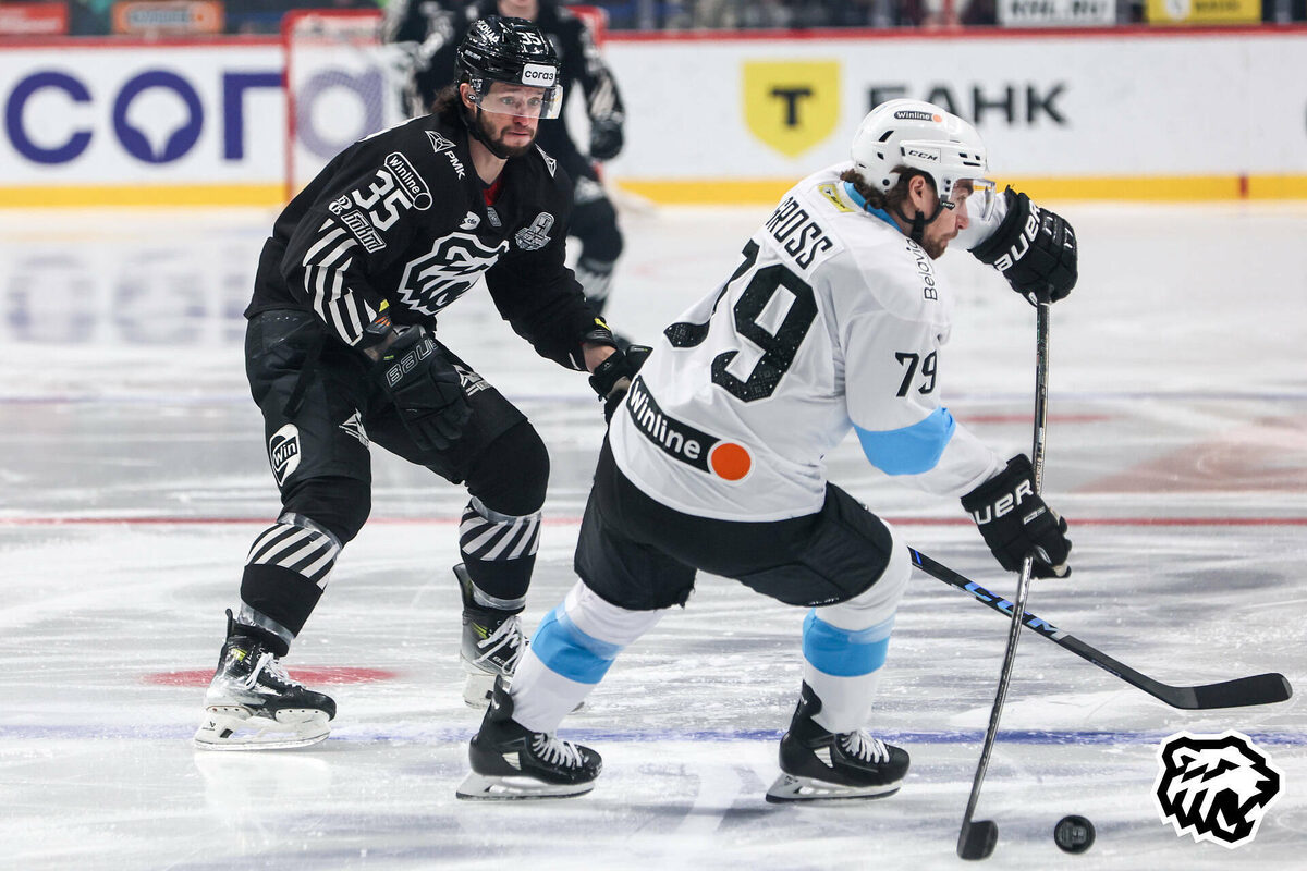 Фото: hctraktor.org