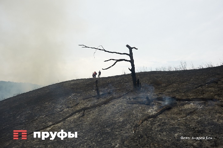    Фото: Пруфы.рф