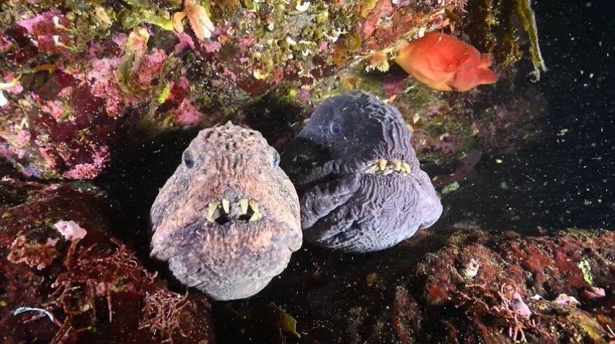    Источник фото: