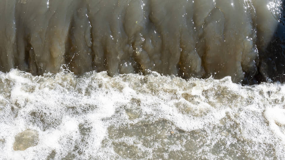 Фото: Олег Харсеев / Коммерсантъ