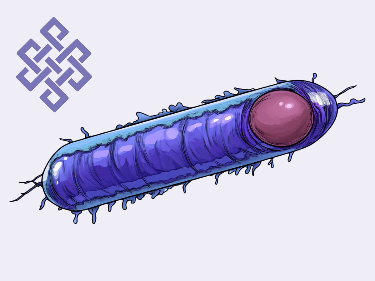 Clostridium difficile