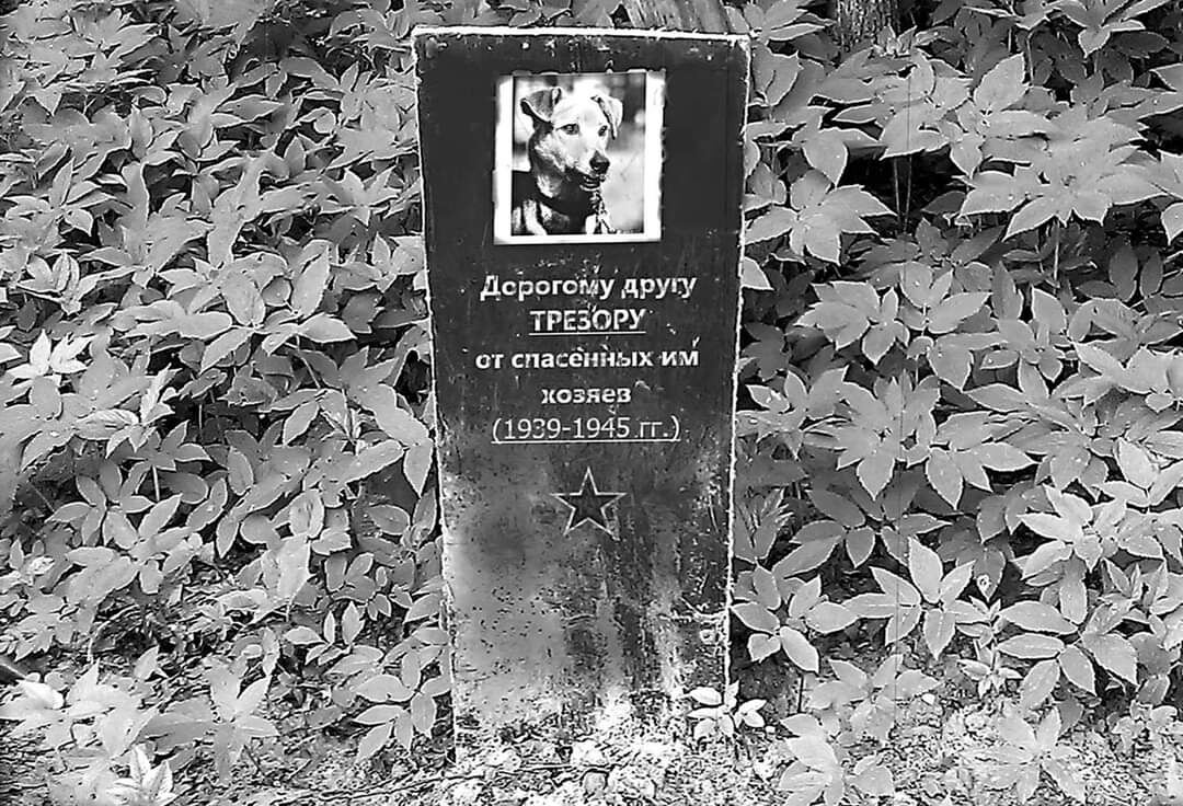 Памятник Трезору