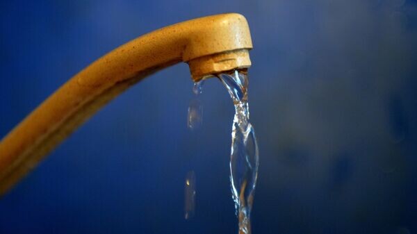    © РИА Новости . Максим Богодвид