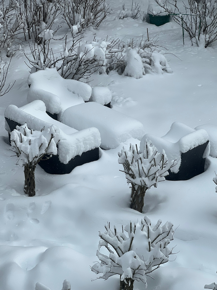 И этот не последний день снегопада