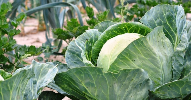 Источник фото ivd.ru