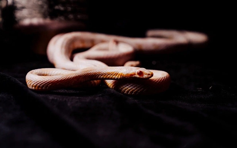    Скрытые ошибки и душевная боль: кто по гороскопу 17 апреля заплатит за свои грехи?