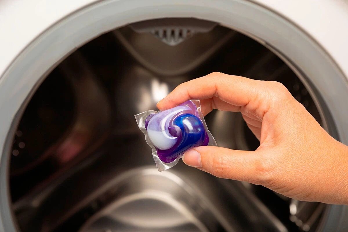    Фото: Avocado_studio / Shutterstock.com