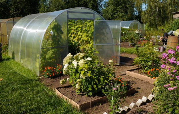 Источник фото shutterstock.com