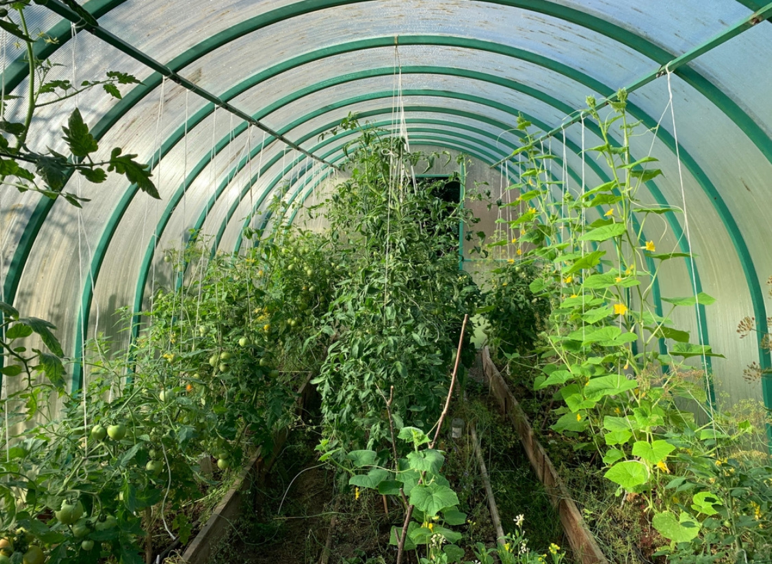 Источник фото shutterstock.com