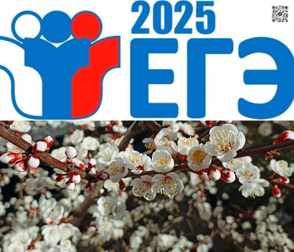 Фон для иллюстрации - фото Н. Сырескиной: https://vk.com/n.syreskina