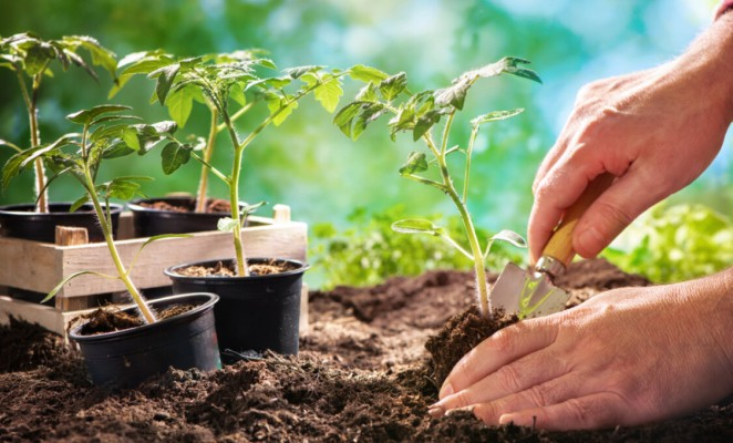 Источник фото shutterstock.com