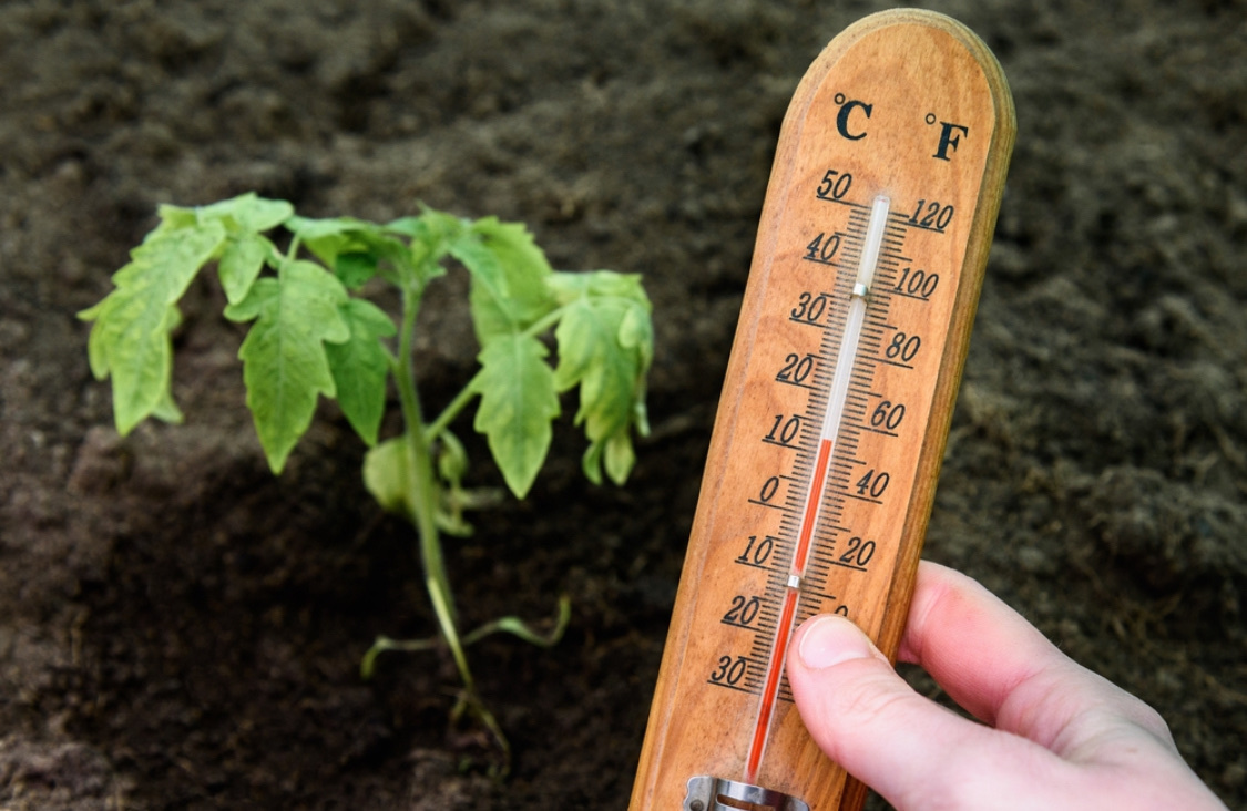 Источник фото shutterstock.com