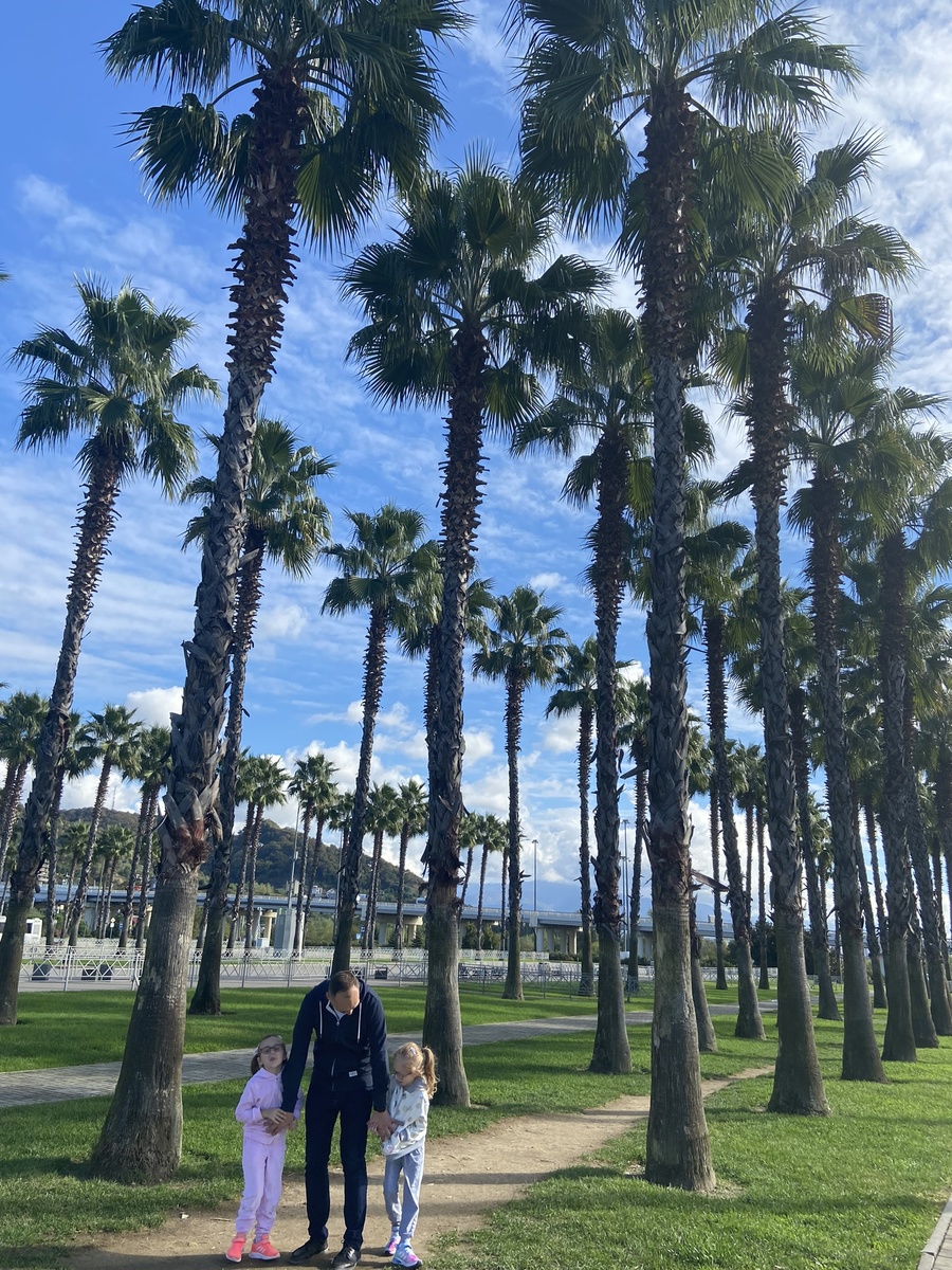 Пальмовая аллея около ж/д станции "Имеретинский курорт"