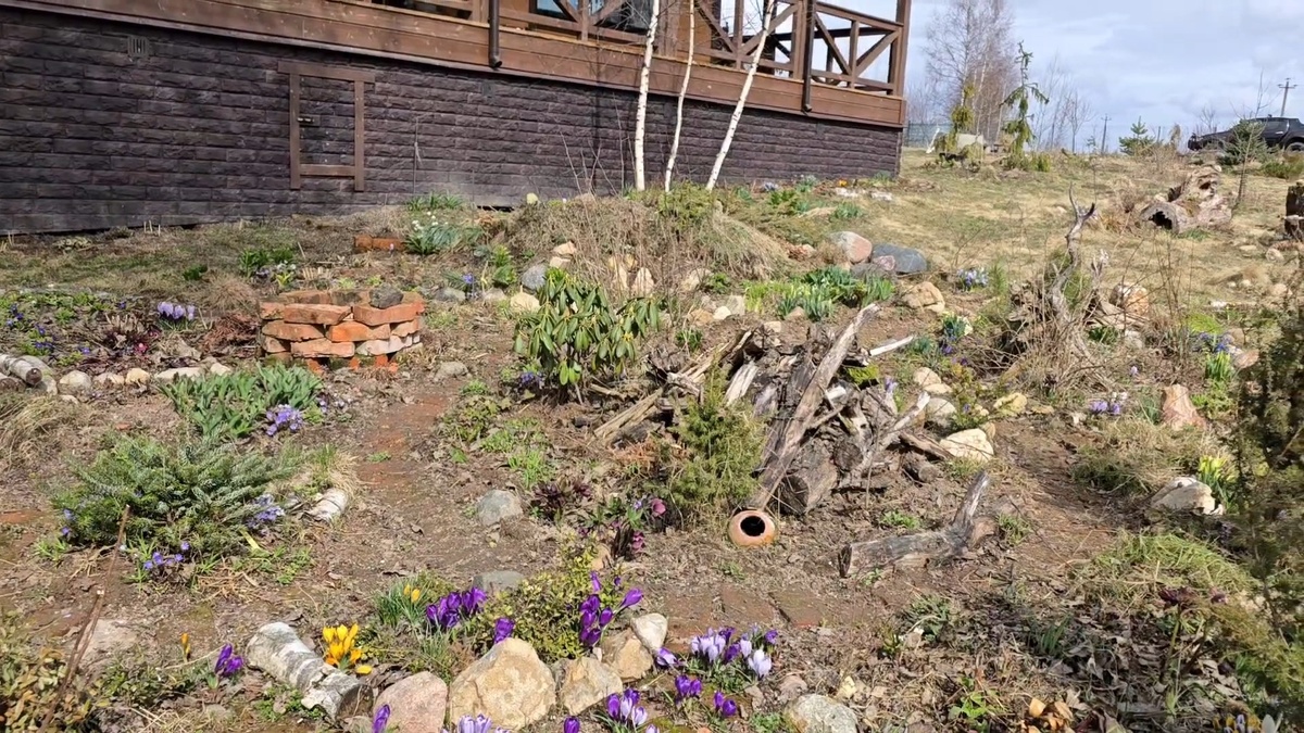 До бури Зион