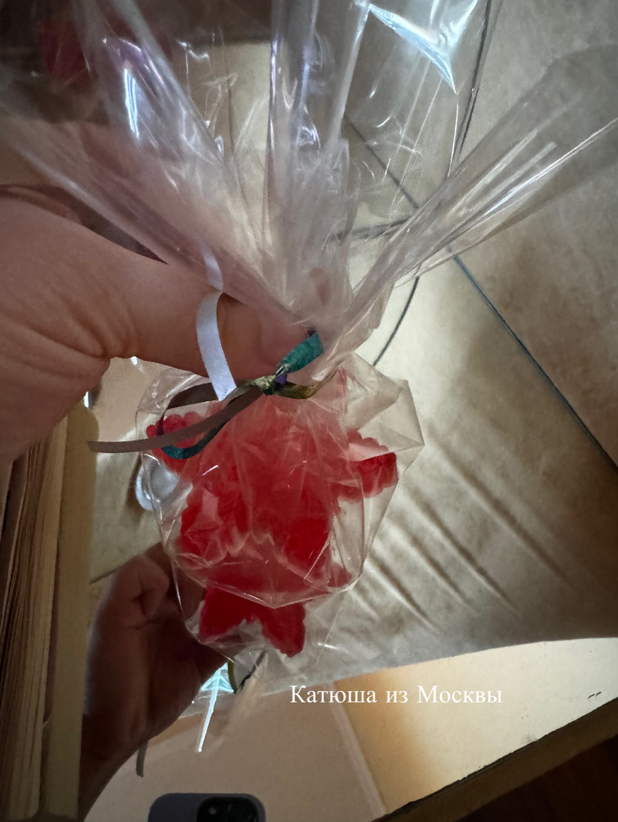 Фото сделано автором канала на дзен Катюша из Москвы